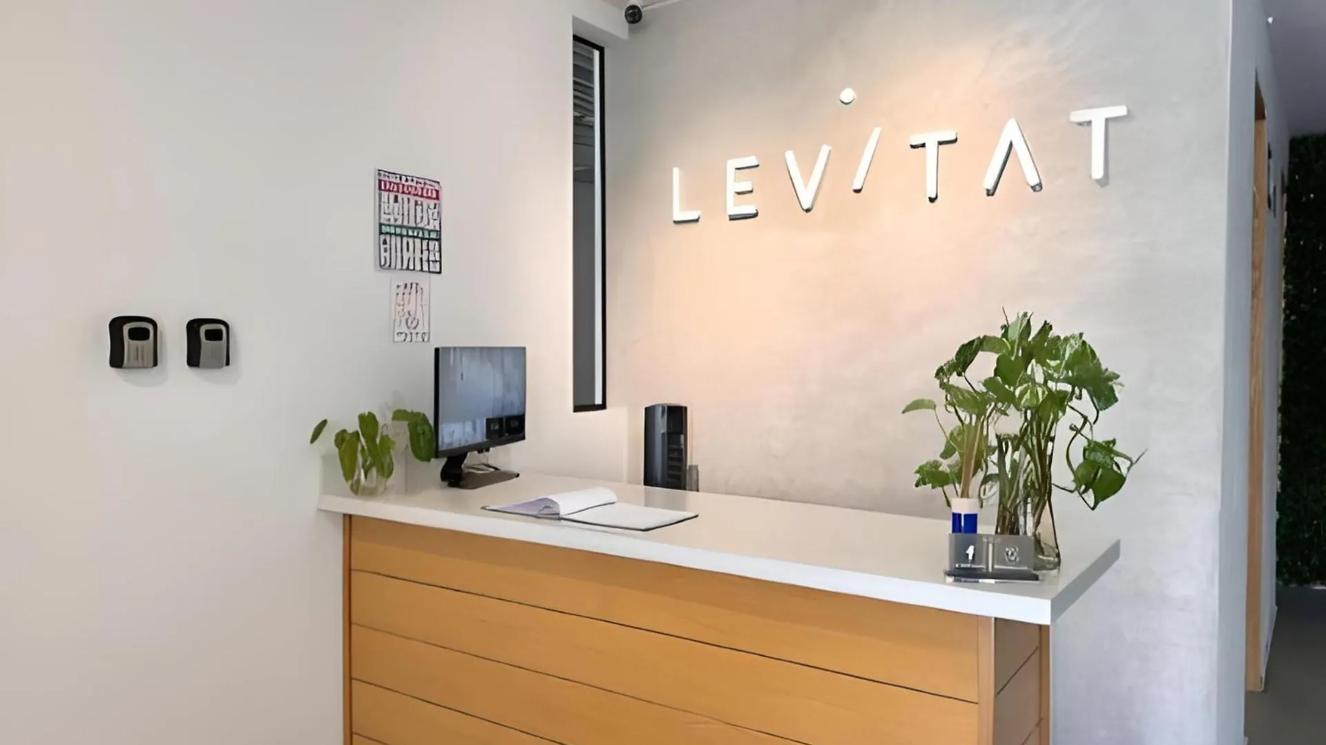 ** Lejlighedshotel Levitat 32 Playa del Carmen Mexico
